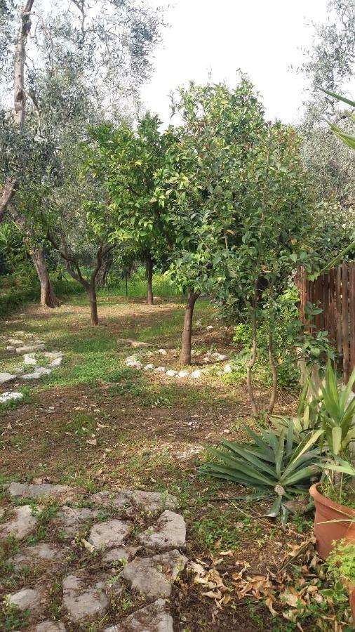 Villa Fralu Mattinata Luaran gambar